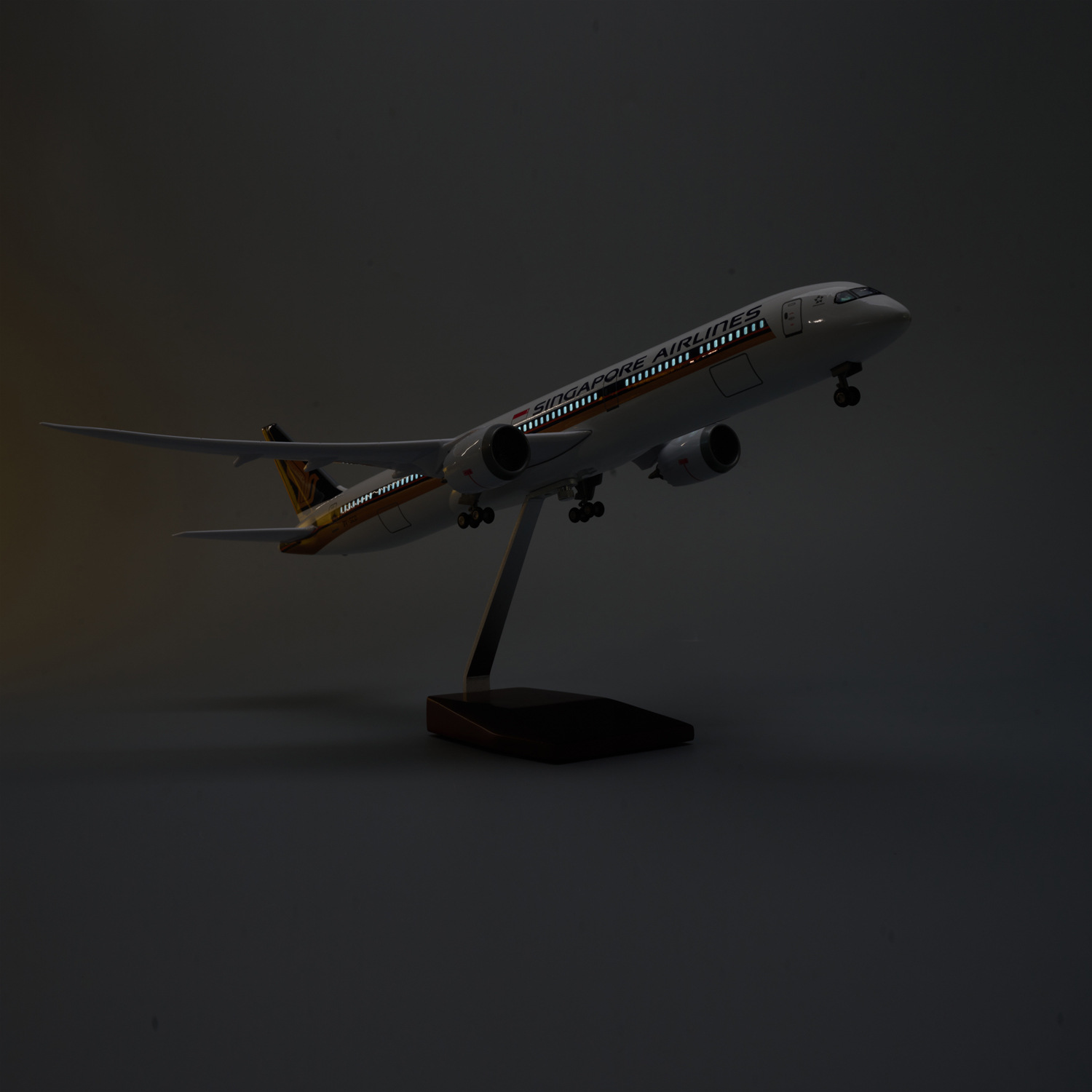 Modelo de Avião em Resina Diec - Model Kit Singapore avaliação e preço